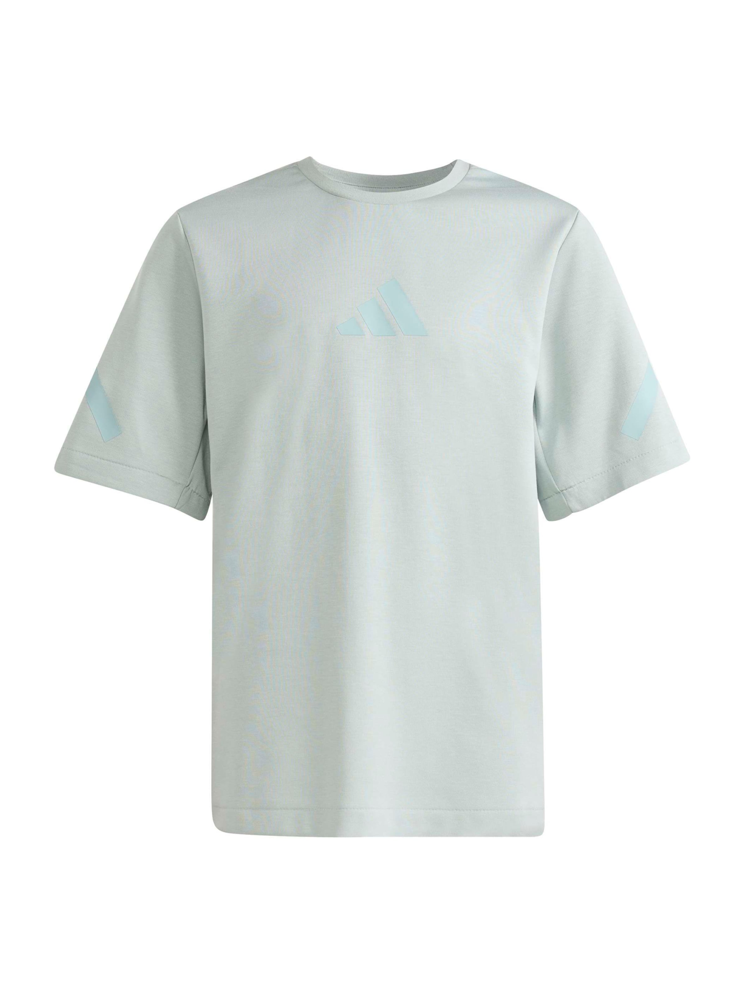 Adidas Sportswear Футболка Performance 'ZNE' в светло-зеленом цвете
Adidas Sportswear Футболка Performance 'ZNE' в светло-зеленом цвете