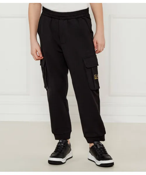 Брюки-Карго Regular fit Ea7, черный
Брюки-Карго Regular fit Ea7, черный