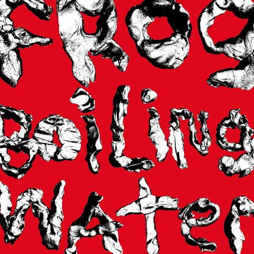 Виниловая пластинка DIIV: Frog In Boiling Water
Виниловая пластинка DIIV: Frog In Boiling Water