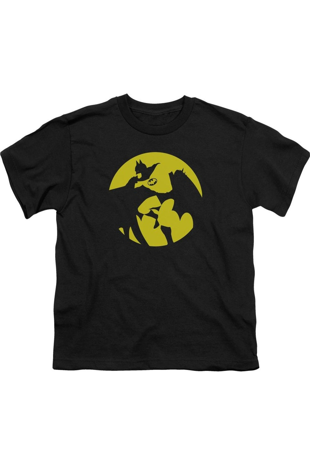 Футболка с подсветкой DC Comics Batman для детей Gildan, черный
Футболка с подсветкой DC Comics Batman для детей Gildan, черный