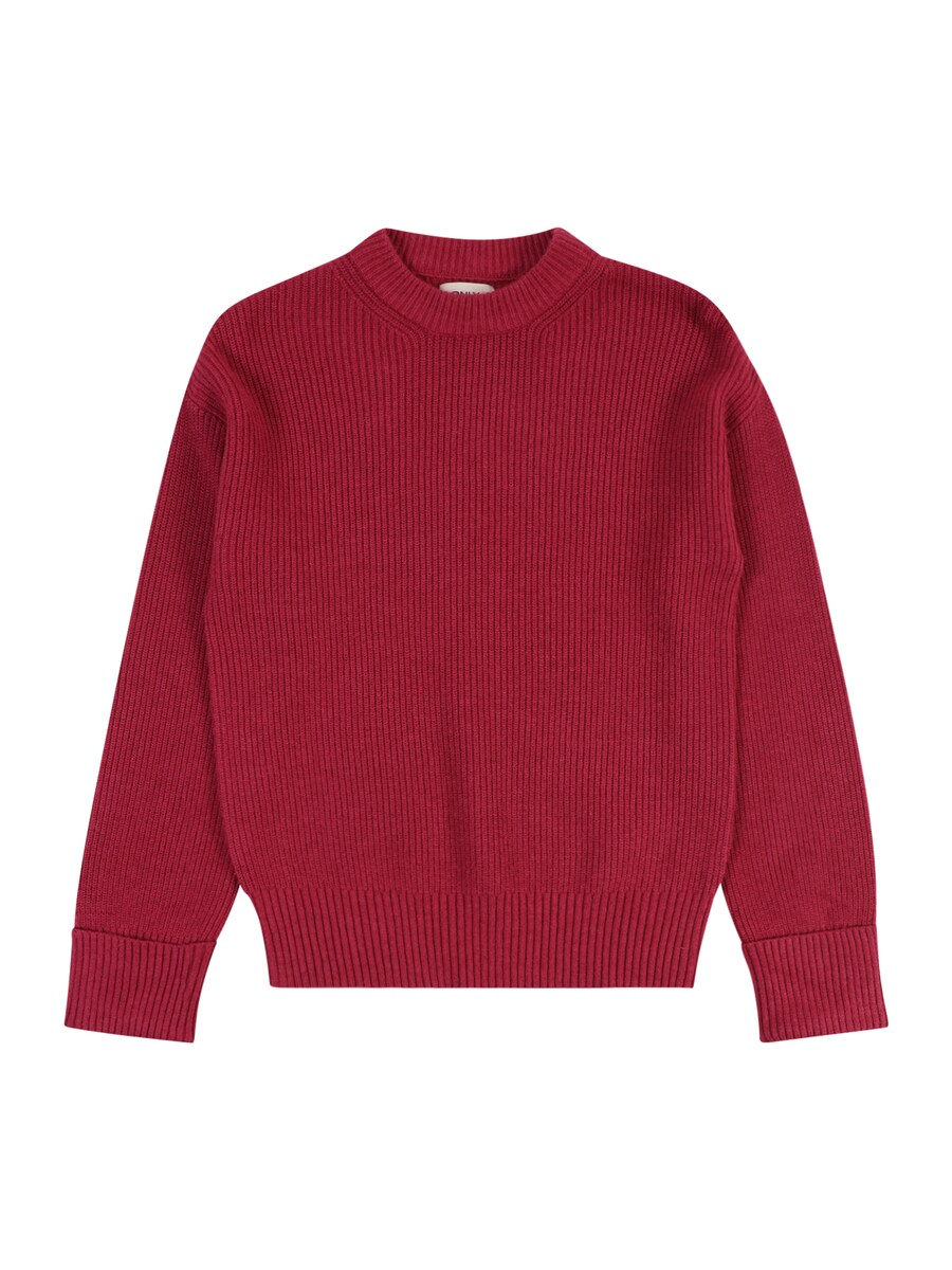 Свитер KIDS ONLY KOGANNE, цвет Berry
Свитер KIDS ONLY KOGANNE, цвет Berry