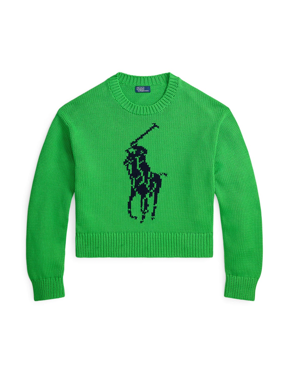 Polo Ralph Lauren Свитер в зеленом цвете
Polo Ralph Lauren Свитер в зеленом цвете