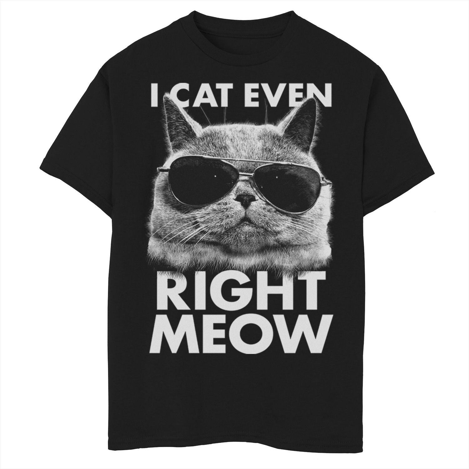 Футболка с рисунком Fifth Sun Right Meow Cat Shades для мальчиков 8–20 лет Fifth Sun
Футболка с рисунком Fifth Sun Right Meow Cat Shades для мальчиков 8–20 лет Fifth Sun