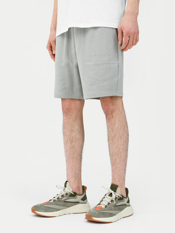 Спортивные шорты стандартного кроя 4F, серый
Спортивные шорты стандартного кроя 4F, серый