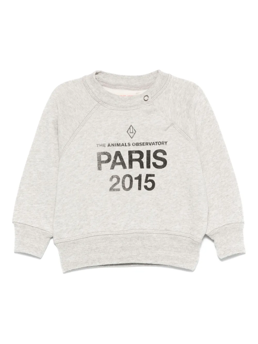 Толстовка с логотипом The Animals Observatory, серый
Толстовка с логотипом The Animals Observatory, серый