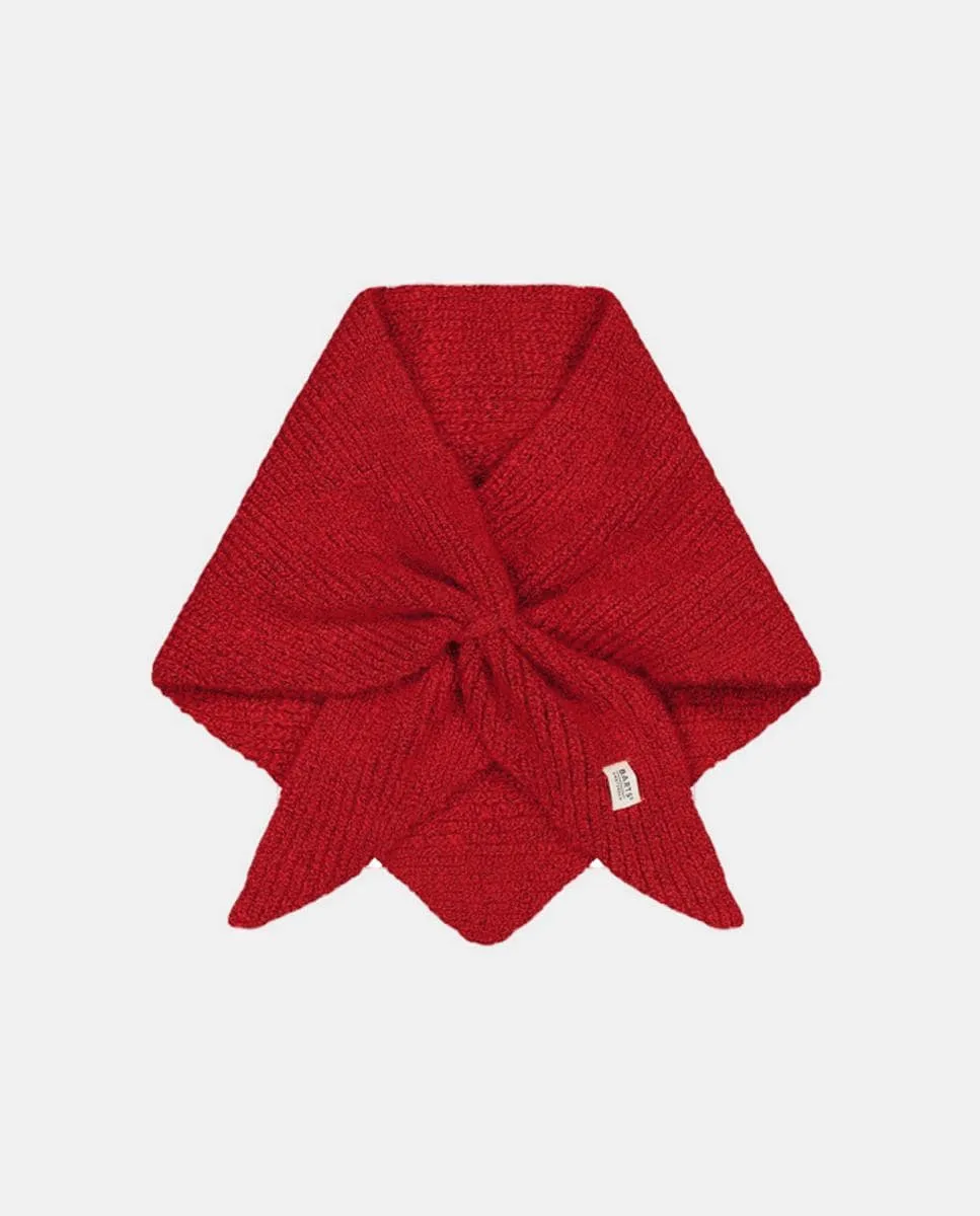 Обложка Neolana Barts, красный
Обложка Neolana Barts, красный