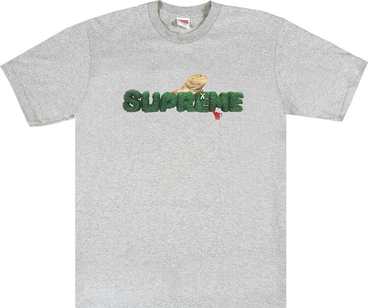 Футболка Supreme Lizard Tee 'Heather Grey', серый 
Футболка Supreme Lizard Tee 'Heather Grey', серый