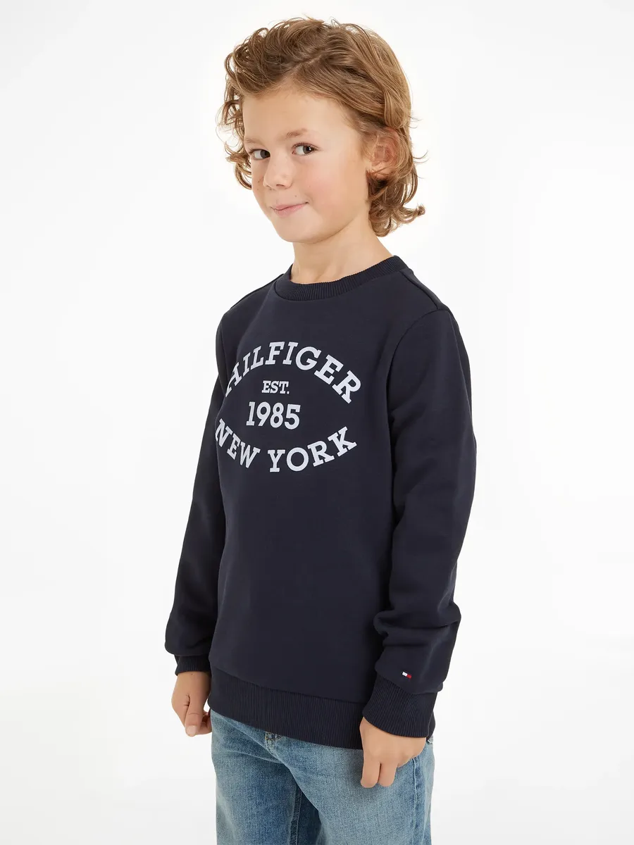 Толстовка Tommy Hilfiger "MONOTYPE FLOCK REG SEATSHIRT" с принтом спереди; Круглый вырез, длинные рукава, цвет Desert Sky
Толстовка Tommy Hilfiger "MONOTYPE FLOCK REG SEATSHIRT" с принтом спереди; Круглый вырез, длинные рукава, цвет Desert Sky