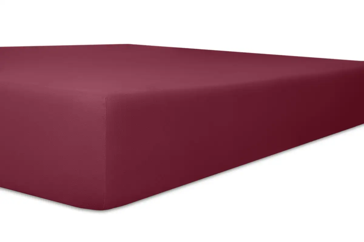 Простыня на коленях "Easy-Stretch", оптимальная посадка Kneer 180-200х200-220 см, 1 шт., цвет burgund
Простыня на коленях "Easy-Stretch", оптимальная посадка Kneer 180-200х200-220 см, 1 шт., цвет burgund