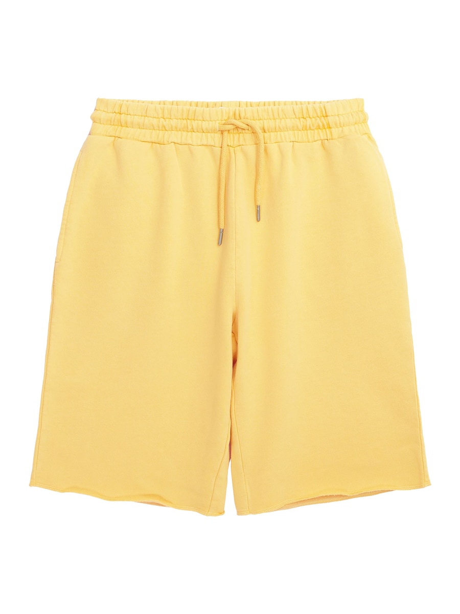 Обычные брюки KnowledgeCotton Apparel BIRCH, желтый
Обычные брюки KnowledgeCotton Apparel BIRCH, желтый