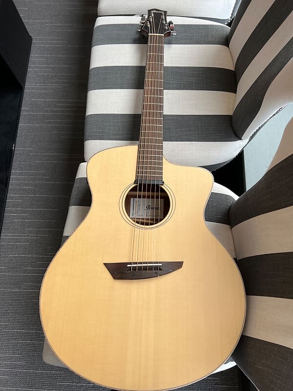 Ibanez PA300E-NSL
Ibanez PA300E-NSL