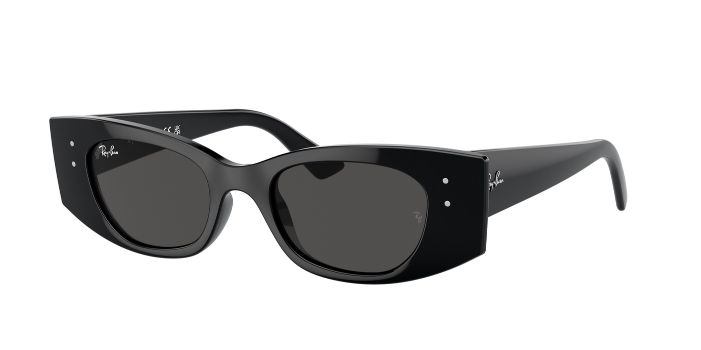 Солнцезащитные очки унисекс RB4427 RAY-BAN, black
Солнцезащитные очки унисекс RB4427 RAY-BAN, black