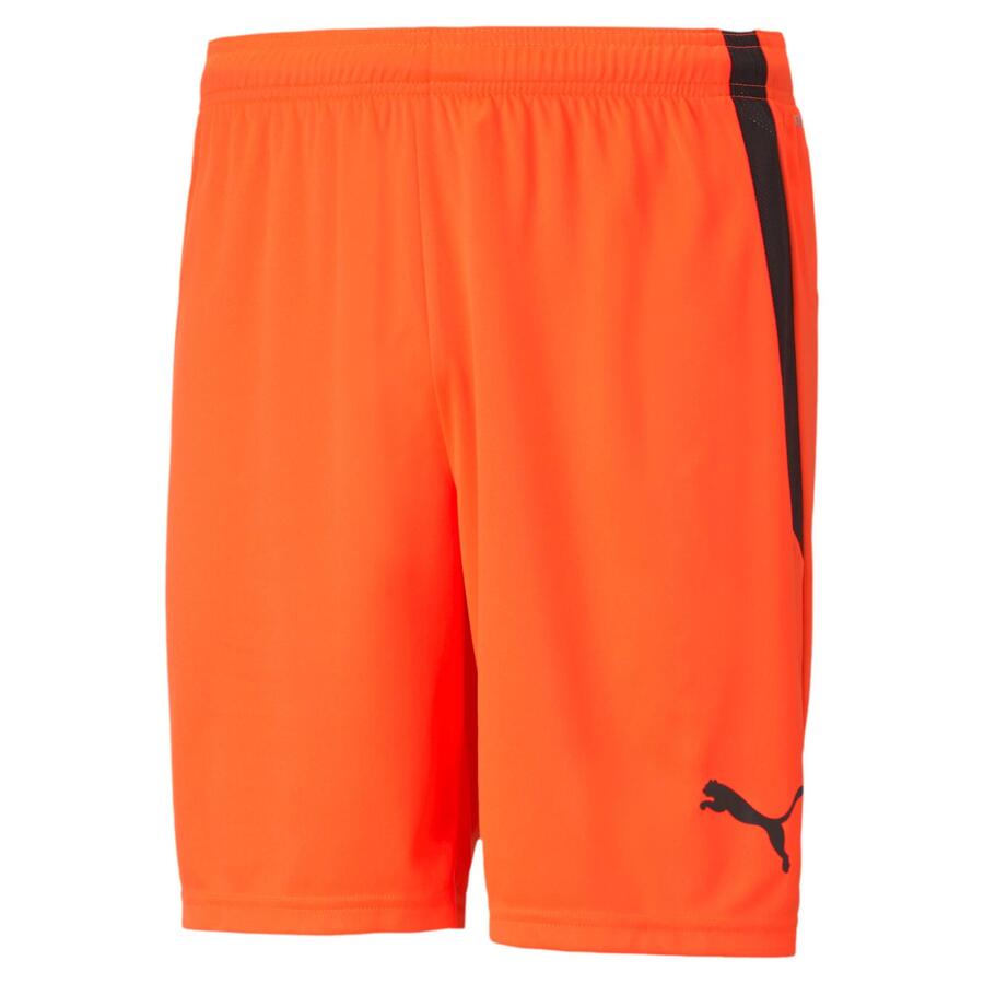 Мужские шорты Puma teamLIGA 704924
Мужские шорты Puma teamLIGA 704924