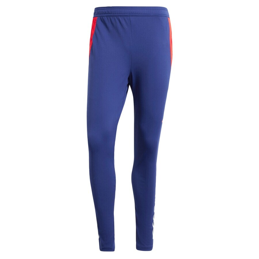 Спортивные брюки ADIDAS PERFORMANCE Slim fit Workout Pants Olympique Lyonnais Tiro 24, синий
Спортивные брюки ADIDAS PERFORMANCE Slim fit Workout Pants Olympique Lyonnais Tiro 24, синий
