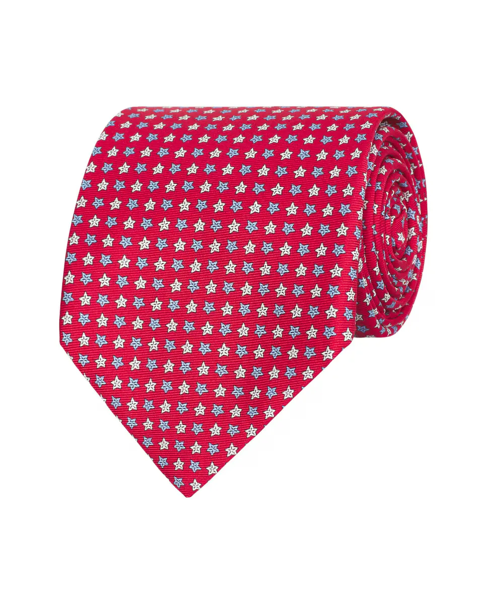 Мужской галстук из шёлкового твила с принтом Mirto, красный
Мужской галстук из шёлкового твила с принтом Mirto, красный