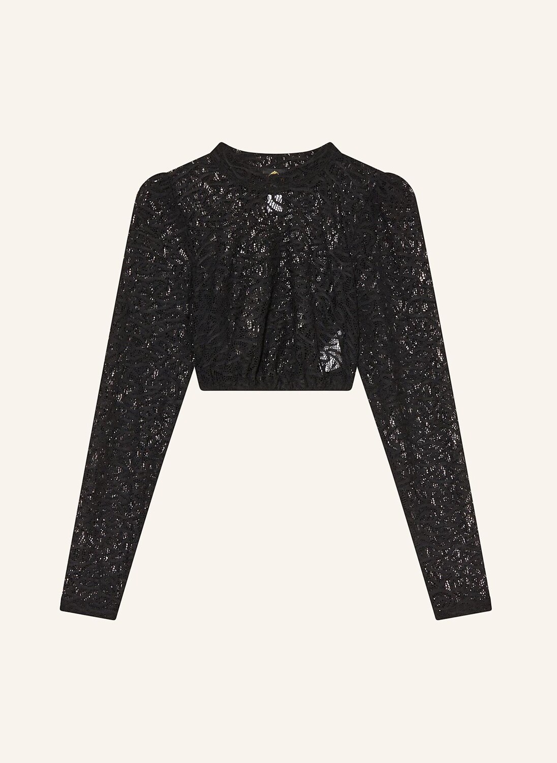 Блузка-дирндль alina из кружева Hammerschmid, черный
Блузка-дирндль alina из кружева Hammerschmid, черный