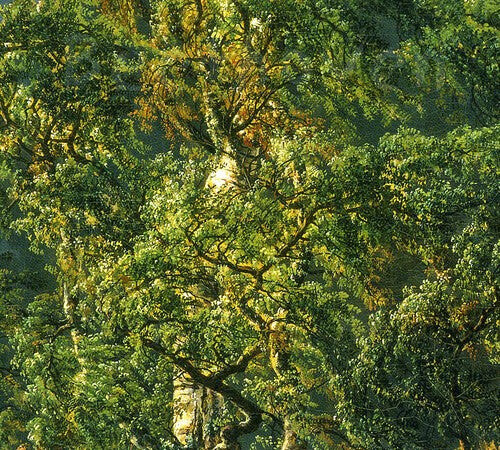 CD диск Beethoven / Fossheim / Solum: Sonatas for Fortepiano & Cello
CD диск Beethoven / Fossheim / Solum: Sonatas for Fortepiano & Cello