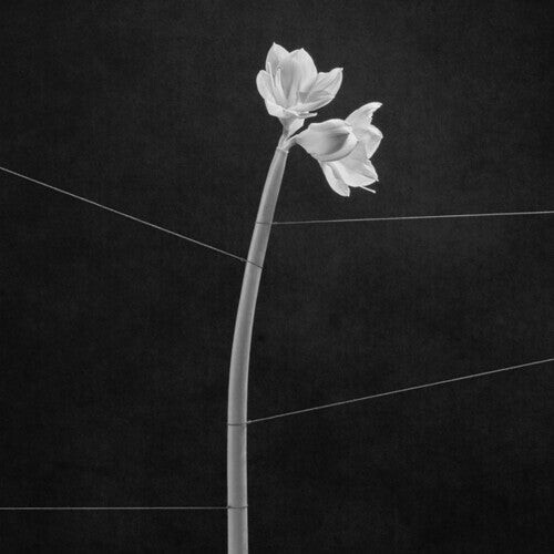 Виниловая пластинка Trentemoller: Dreamweaver
Виниловая пластинка Trentemoller: Dreamweaver