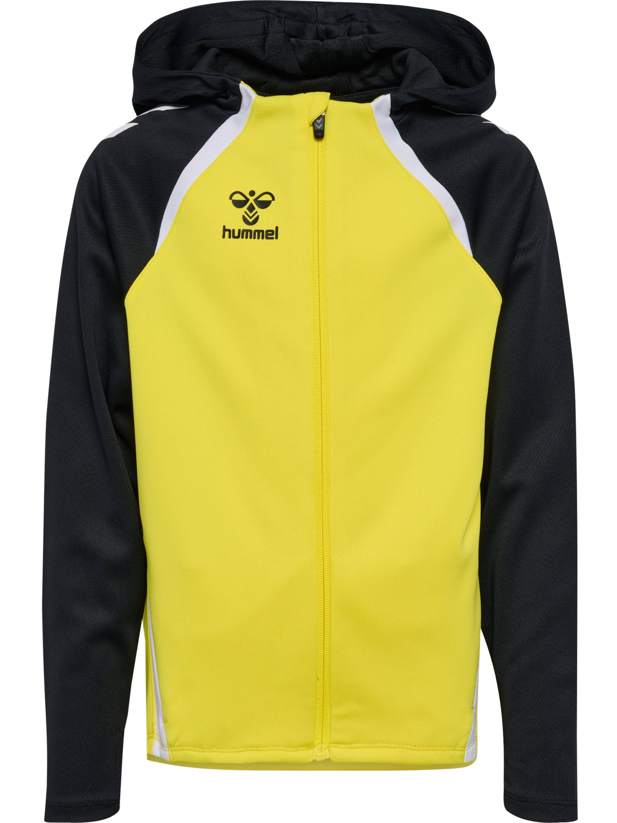 Hummel Спортивная толстовка с молнией 'LEAD 2.0' в желтом цвете
Hummel Спортивная толстовка с молнией 'LEAD 2.0' в желтом цвете