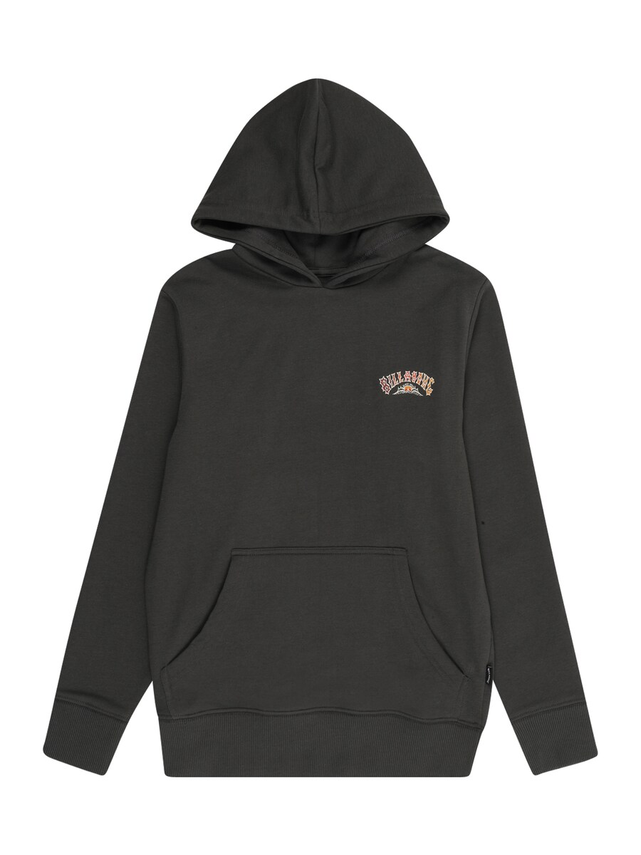 Спортивная толстовка BILLABONG FOUNDATION, черный
Спортивная толстовка BILLABONG FOUNDATION, черный