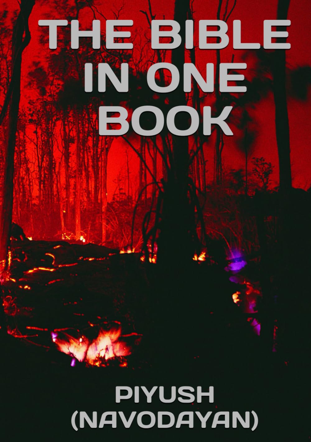 The Bible in one book (Independently published)
The Bible in one book (Independently published)