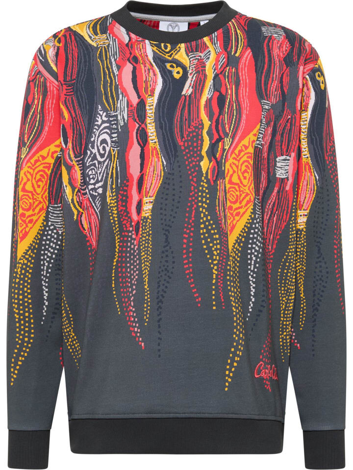 Толстовка Carlo Colucci Di Spigno, цвет anthrazit/mehrfarbig
Толстовка Carlo Colucci Di Spigno, цвет anthrazit/mehrfarbig