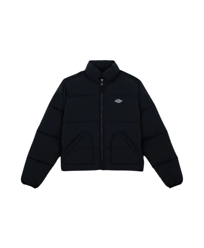 Пуховая куртка Саммердейл Dickies, черный
Пуховая куртка Саммердейл Dickies, черный