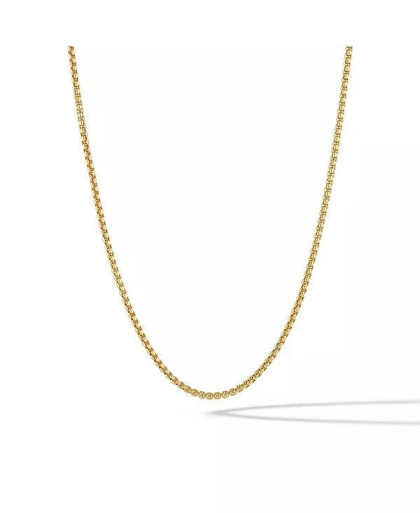 Мужское ожерелье-цепочка 2 мм из стерлингового серебра, скрепленное 14-каратным золотом, с застежкой-попугаем Vincero, gold
Мужское ожерелье-цепочка 2 мм из стерлингового серебра, скрепленное 14-каратным золотом, с застежкой-попугаем Vincero, gold