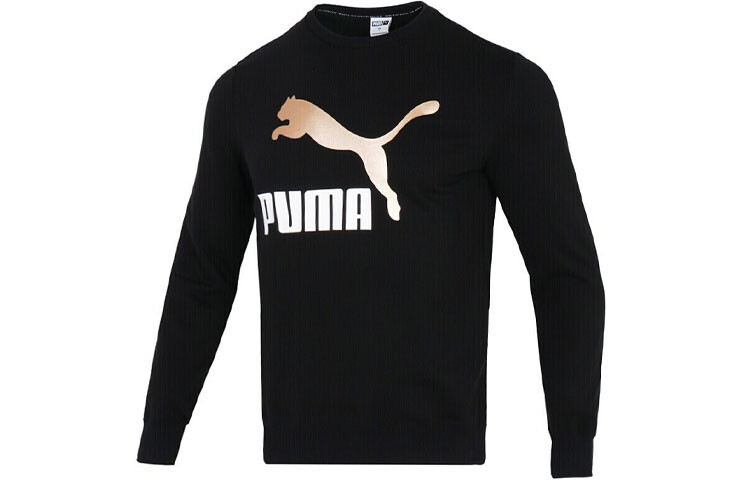 Мужская толстовка Puma, цвет Black
Мужская толстовка Puma, цвет Black