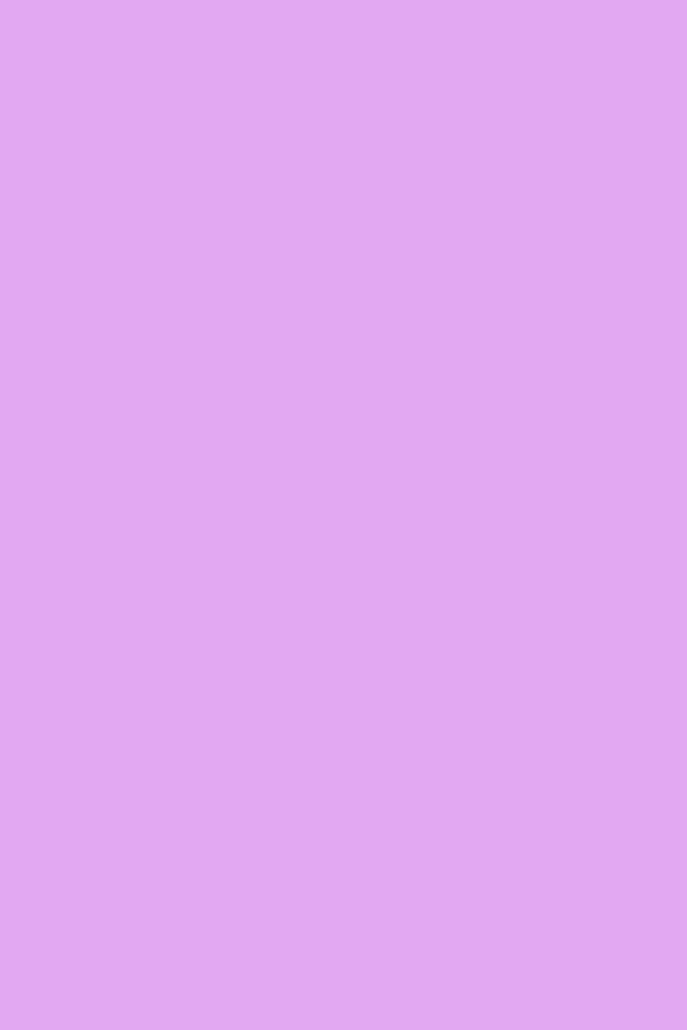 Lavender Dreams Notebook: Blank Pages for Writing, Sketching, and Ideas
Lavender Dreams Notebook: Blank Pages for Writing, Sketching, and Ideas