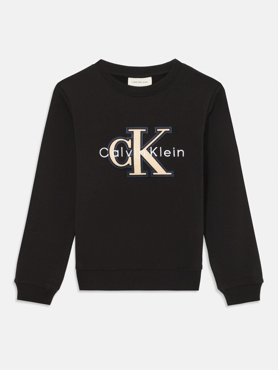 Толстовка Calvin Klein FESTIVE MONO, черный
Толстовка Calvin Klein FESTIVE MONO, черный