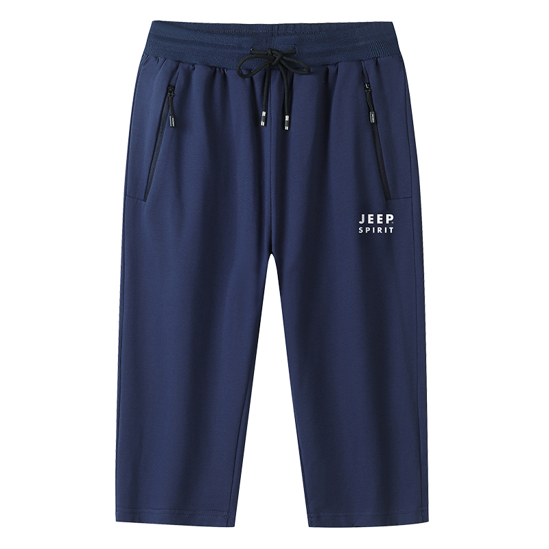 Повседневные брюки мужские JEEP SPIRIT, серые
Повседневные брюки мужские JEEP SPIRIT, серые