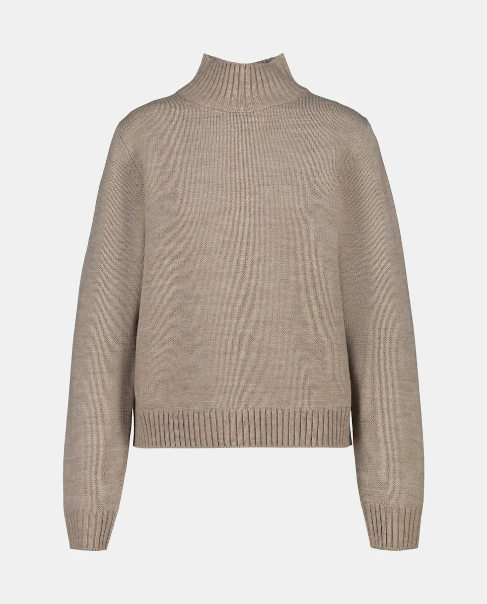 Женский однотонный свитер с высоким воротником Easy Wear, коричневый
Женский однотонный свитер с высоким воротником Easy Wear, коричневый