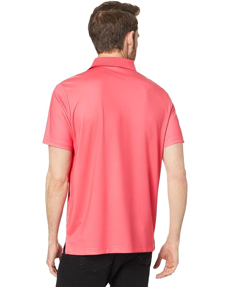 Поло U.S. POLO ASSN. Horizontal Fade Stripe Knit Polo Shirt, цвет Rouge Red
Поло U.S. POLO ASSN. Horizontal Fade Stripe Knit Polo Shirt, цвет Rouge Red