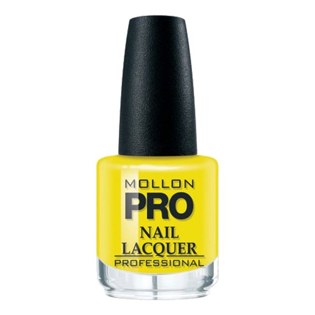 Лак для ногтей Mollon pro, 15 мл (231)
Лак для ногтей Mollon pro, 15 мл (231)