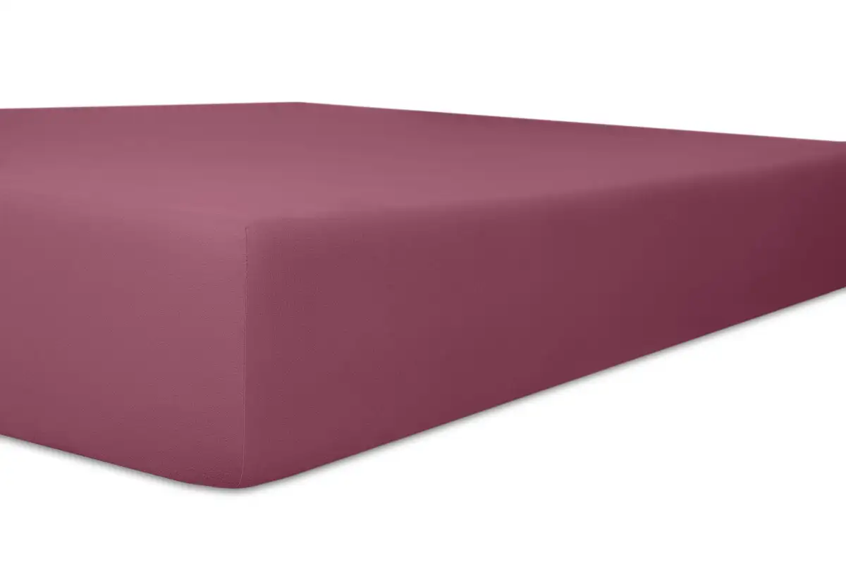 Простыня на коленях "Easy-Stretch", оптимальная посадка Kneer 140-160х200-220 см, 1 шт., цвет brombeer
Простыня на коленях "Easy-Stretch", оптимальная посадка Kneer 140-160х200-220 см, 1 шт., цвет brombeer