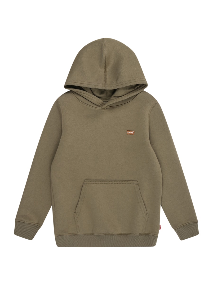 Толстовка Levi's Kids, оливковый
Толстовка Levi's Kids, оливковый