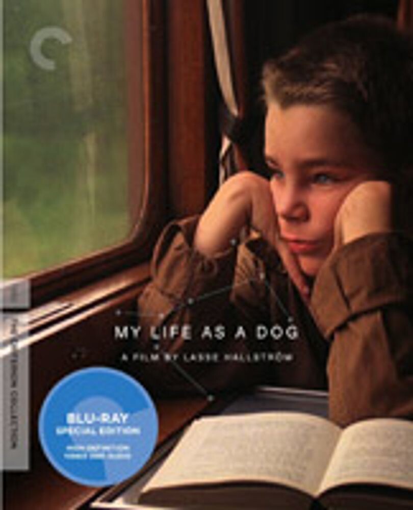 Диск Blu-ray My Life As A Dog
Диск Blu-ray My Life As A Dog