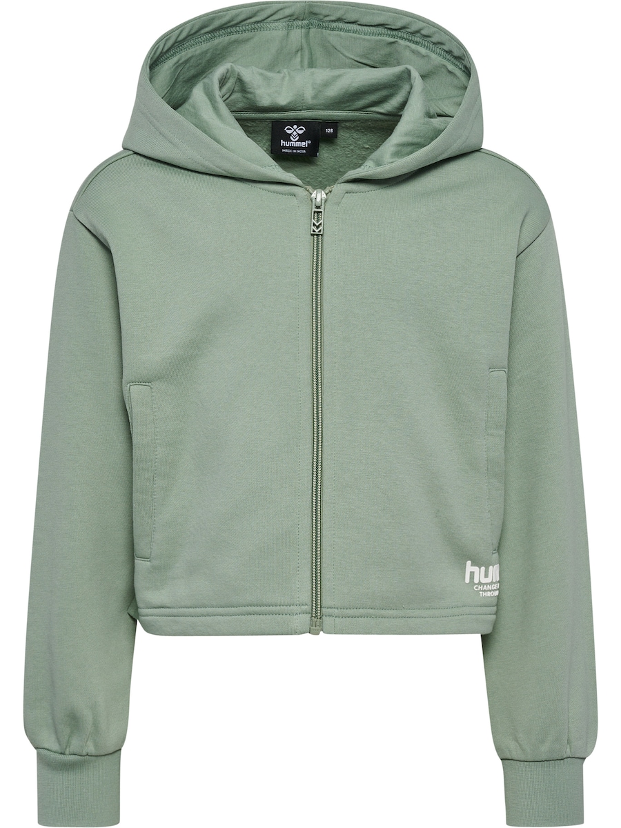 Толстовка с капюшоном на молнии Hummel, серый
Толстовка с капюшоном на молнии Hummel, серый