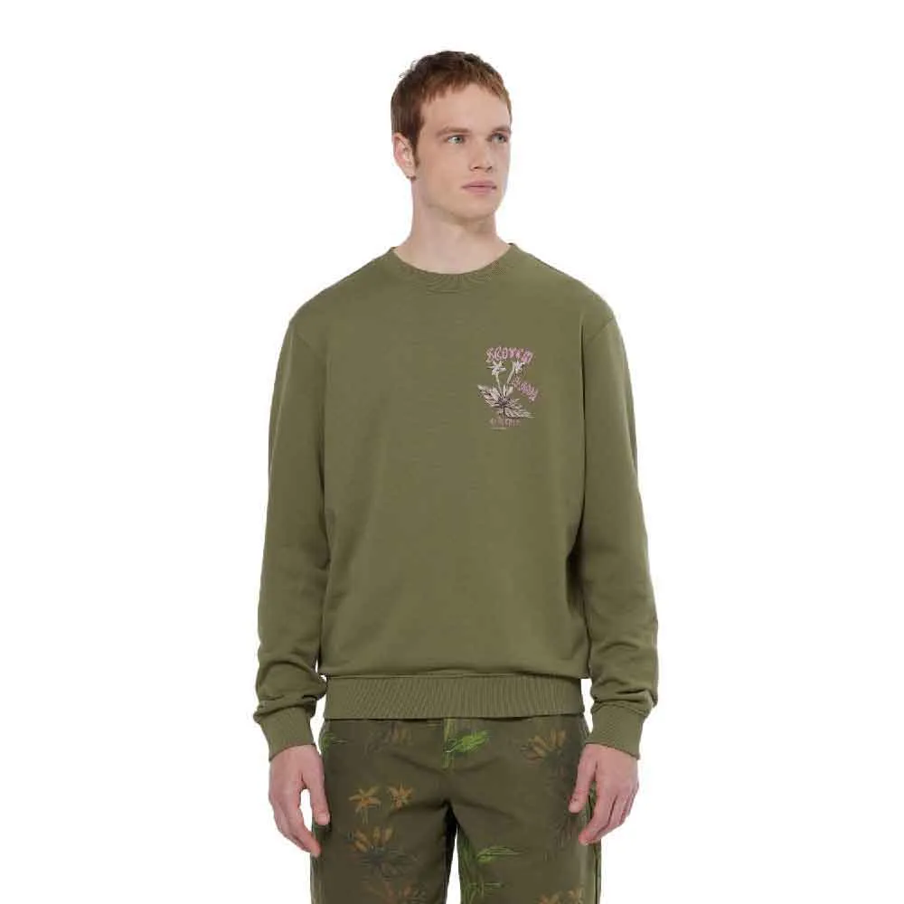 Толстовка Scotch & Soda 180478, зеленый
Толстовка Scotch & Soda 180478, зеленый