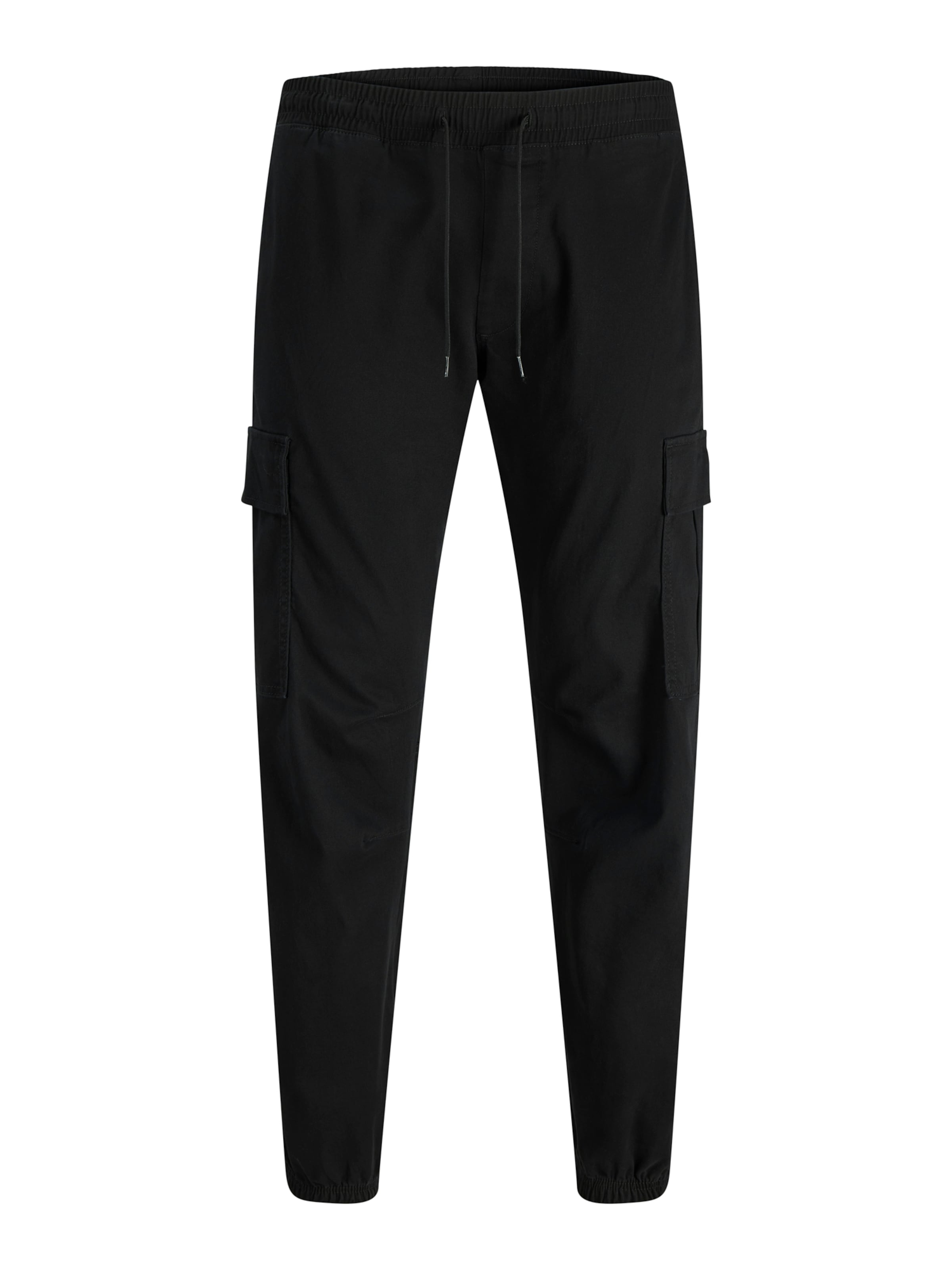 Jack & Jones Plus Узкие карго-штаны 'JPStkane Dylan' в черном цвете
Jack & Jones Plus Узкие карго-штаны 'JPStkane Dylan' в черном цвете