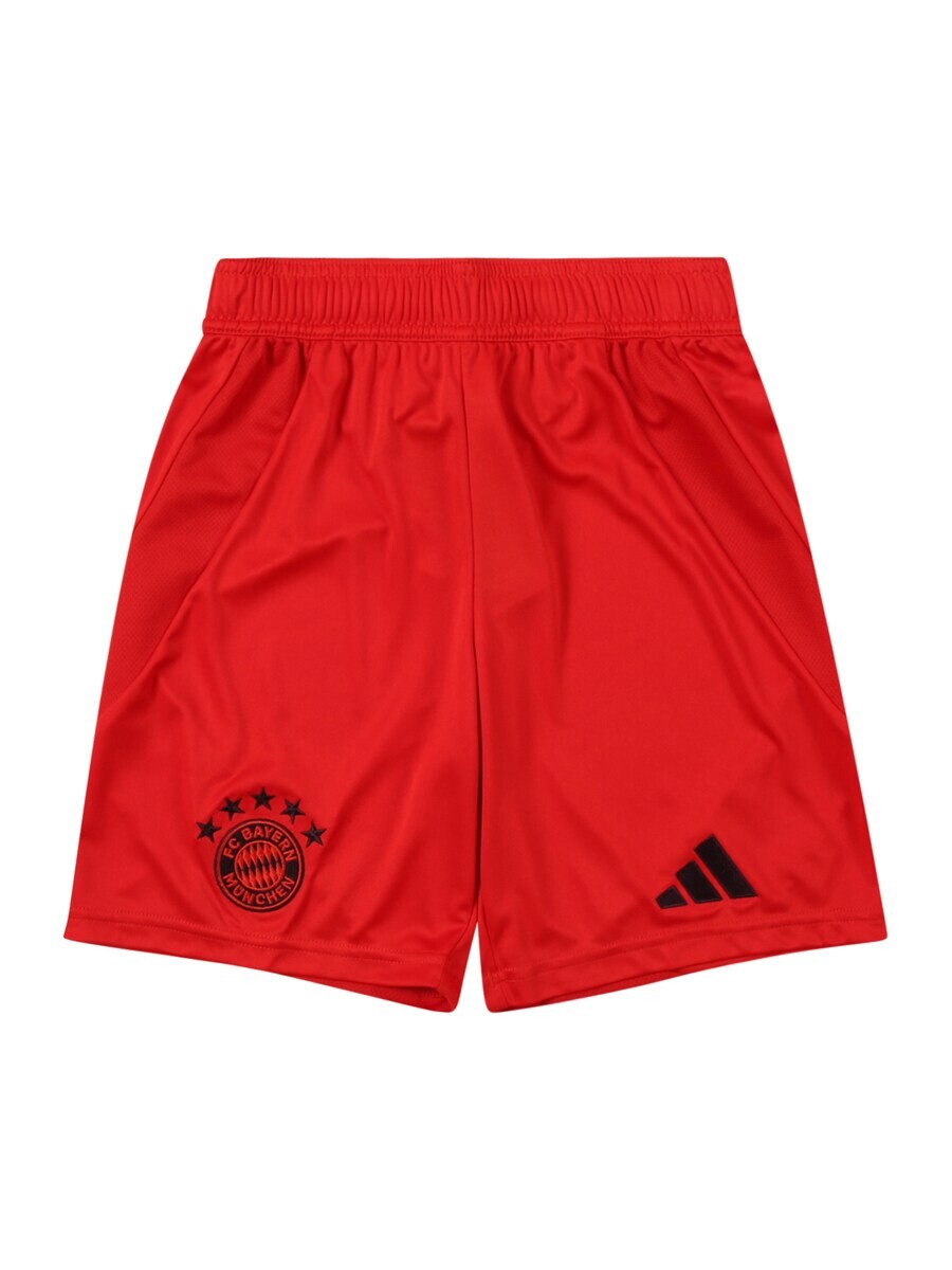 Спортивные брюки ADIDAS PERFORMANCE Regular Workout Pants FC Bayern 24/25, красный 
Спортивные брюки ADIDAS PERFORMANCE Regular Workout Pants FC Bayern 24/25, красный
