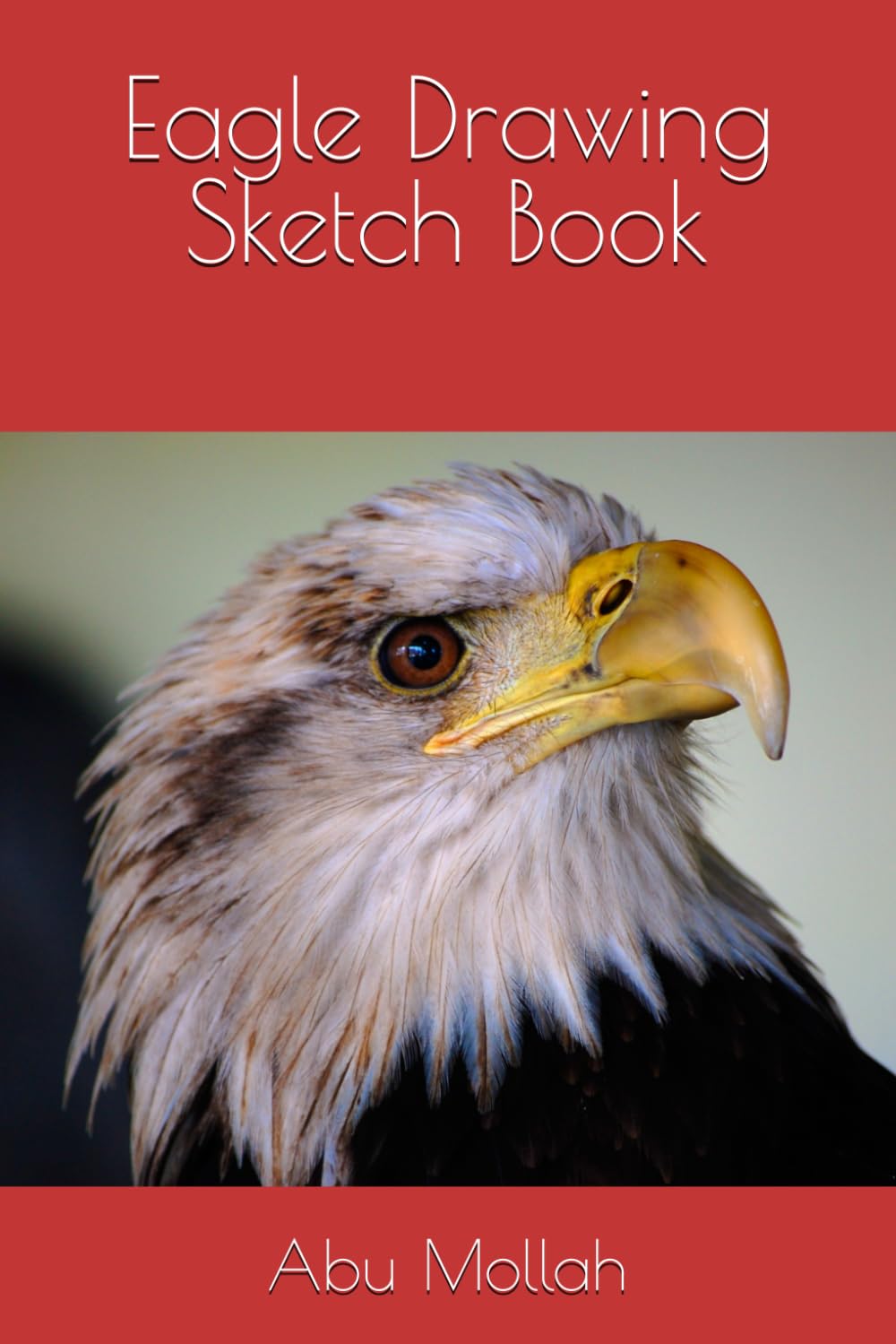 Eagle Drawing Sketch Book (Independently published)
Eagle Drawing Sketch Book (Independently published)