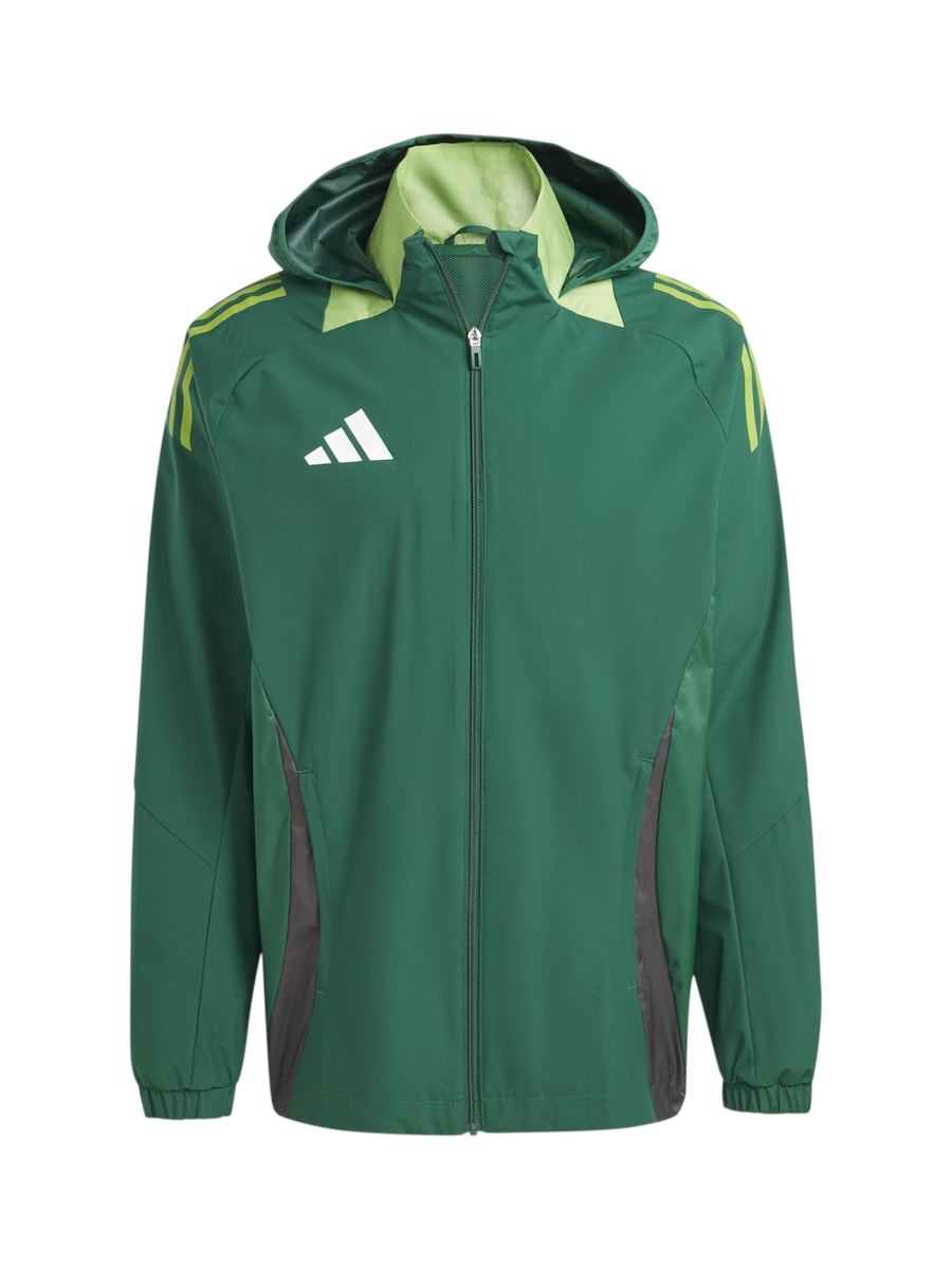 Спортивная куртка ADIDAS PERFORMANCE Team, Reed/Light Green
Спортивная куртка ADIDAS PERFORMANCE Team, Reed/Light Green