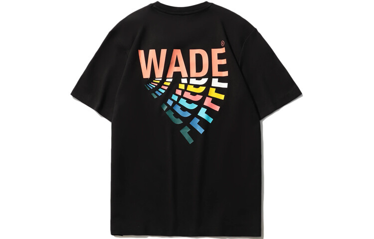 Футболка мужская черная Lining, черный
Футболка мужская черная Lining, черный