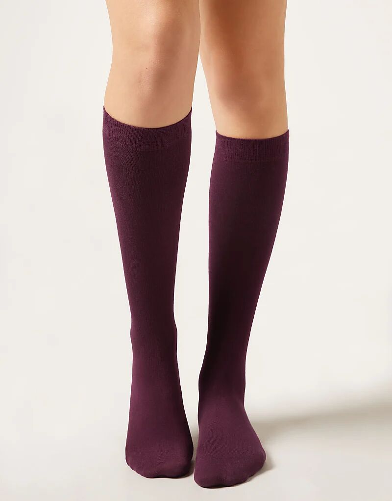 Длинные атласные носки из хлопка Calzedonia цвета бордо
Длинные атласные носки из хлопка Calzedonia цвета бордо