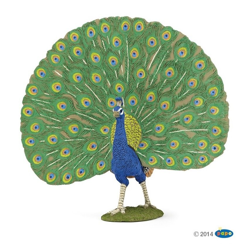 Папо 51161 Лапа 12,5х5,5х11,6см Papo
Папо 51161 Лапа 12,5х5,5х11,6см Papo