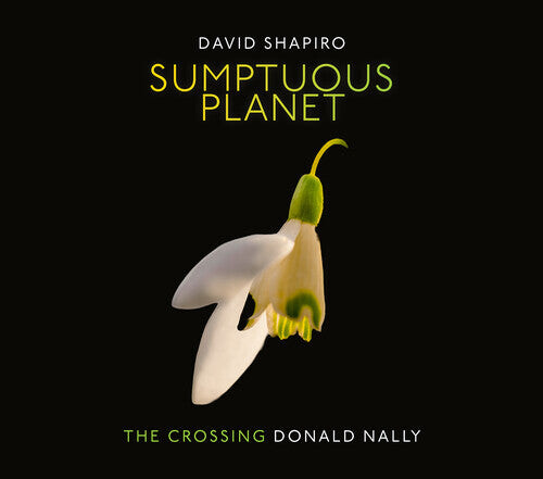CD диск Shapiro / Crossing: Sumptuous Planet
CD диск Shapiro / Crossing: Sumptuous Planet
