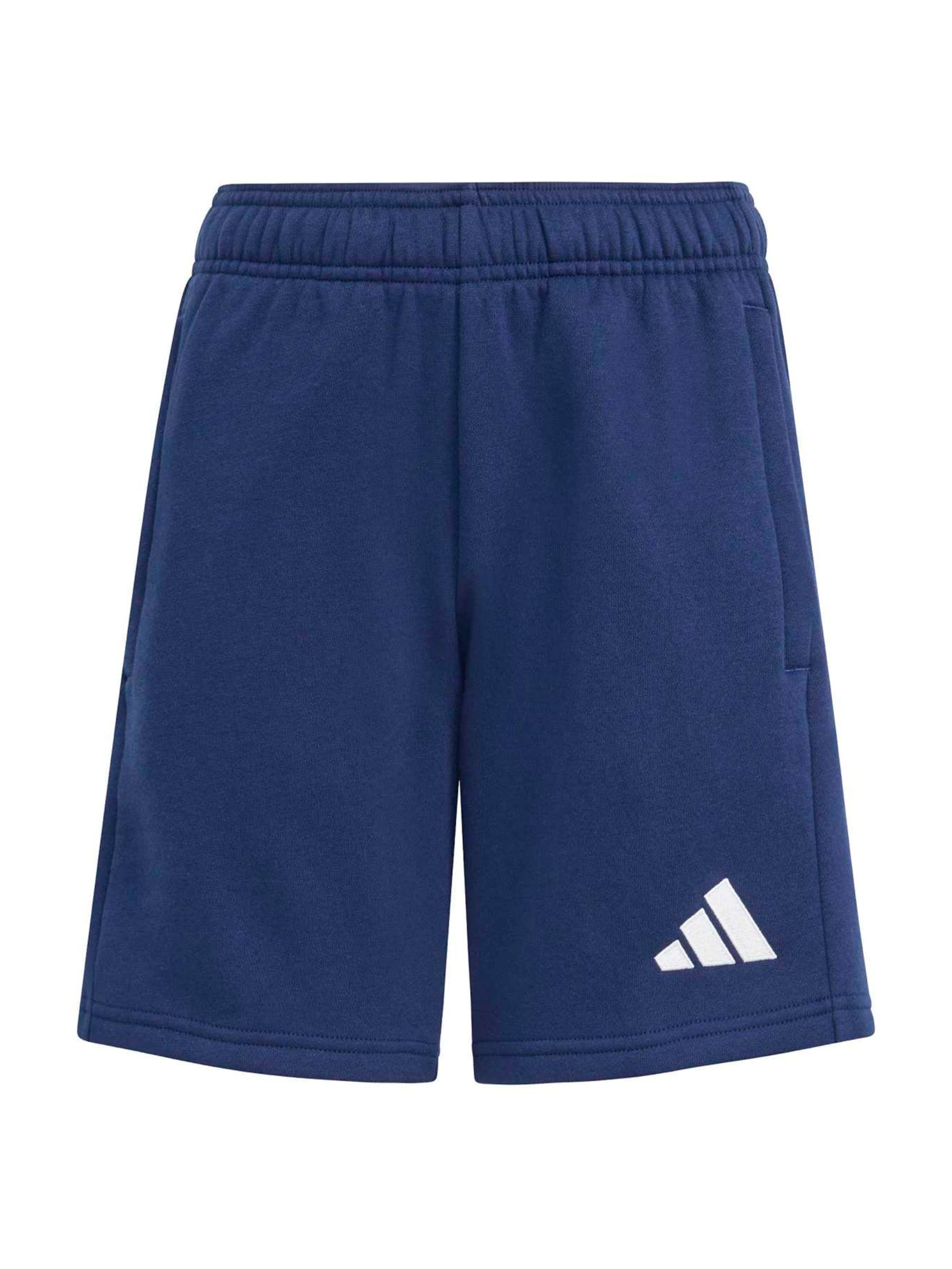 Adidas Performance Повседневные спортивные штаны 'ENT26' в цвете Navy
Adidas Performance Повседневные спортивные штаны 'ENT26' в цвете Navy
