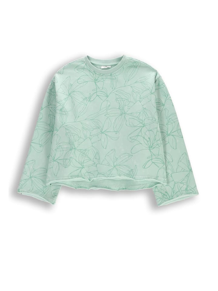 Толстовка Coccodrillo, зеленый
Толстовка Coccodrillo, зеленый